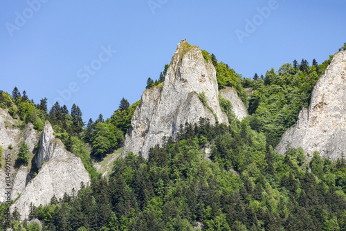 rock in the mountains