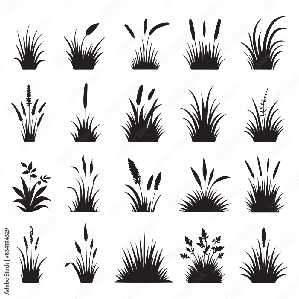 Silhouette set of grass. Vector isolated illustration Silhouette set of grass. Vector isolated illustration