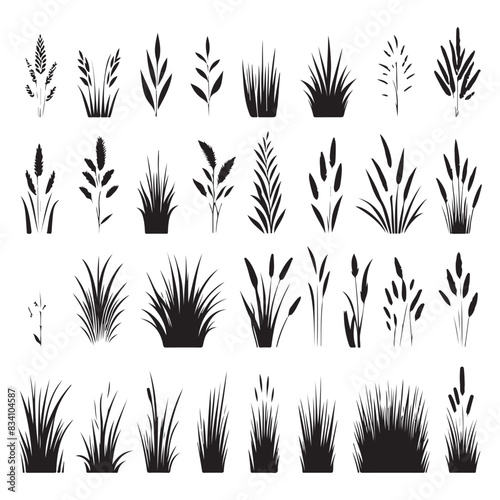 Silhouette set of grass. Vector isolated illustration