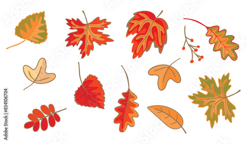 Autumn leaves of various trees isolated on white background.Leaf of maple, poplar, acacia, oak in yellow and orange colors.Botanical vector design set for use in card,banner template,stickers.