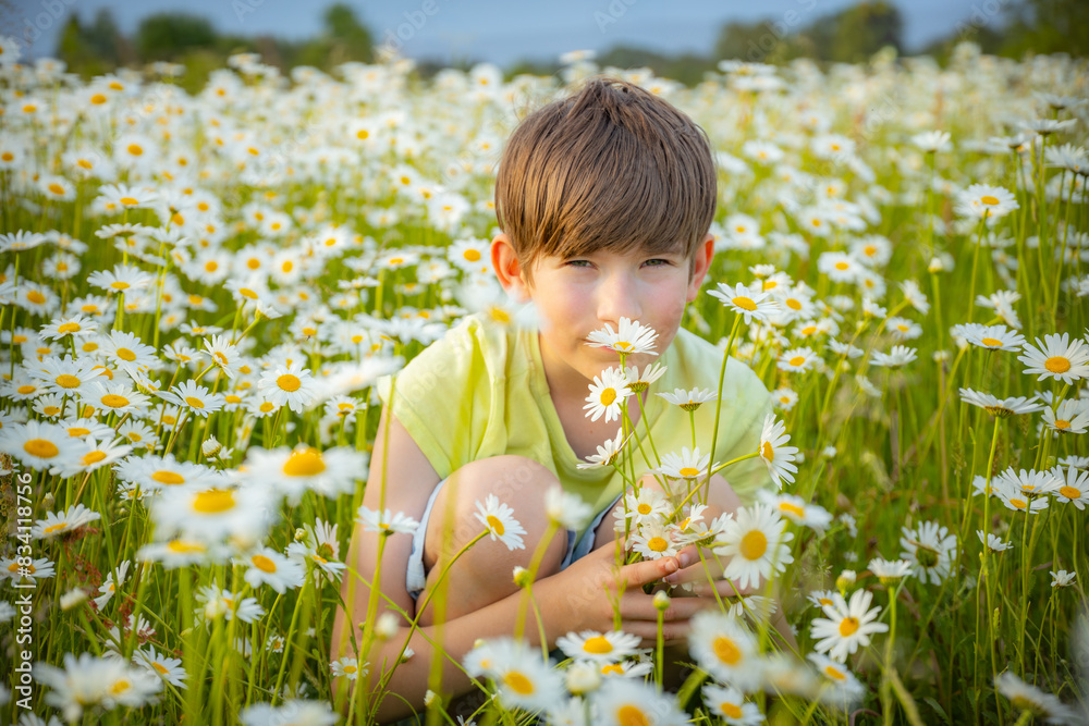 A young boy in a light green shirt sits among blooming white daisies, holding a bouquet close to his face. The field is filled with flowers, creating a cheerful and natural scene. A young boy in a light green shirt sits among blooming white daisies, holding a bouquet close to his face. The field is filled with flowers, creating a cheerful and natural scene.