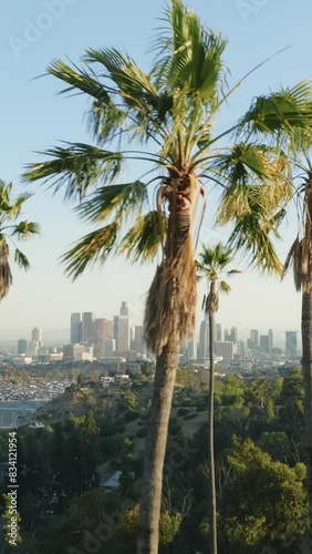 Vertical: An aerial vertical video captures downtown Los Angeles with skyscrapers, lush greenery, and palm trees under clear skies. It showcases the city modern architecture and beautiful landscape photo