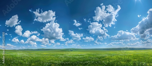 Sunny day with fluffy clouds over a green field