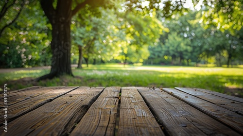 Park Table. Wooden Table in Nature s Green Landscape of Summer Park