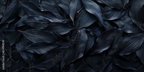 abstract black tropical leaf textures for dark nature background flat lay 