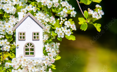 The symbol of the house among the branches of the hawthorn
