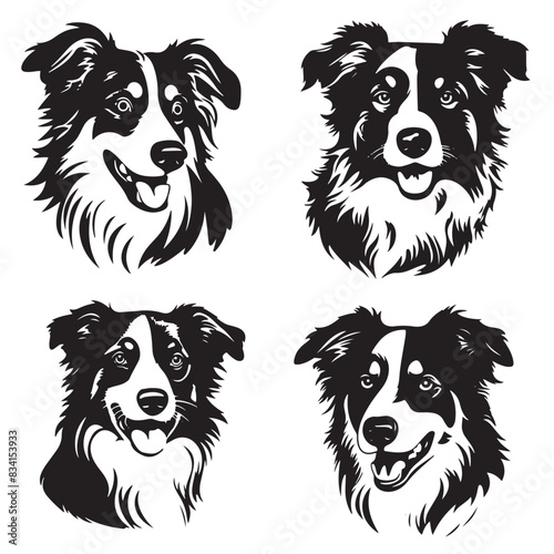 American Shepherd Dog Vector Set