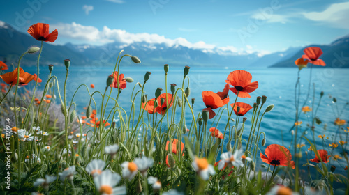 Poppies and wildflowers on the background of the lake and mountains