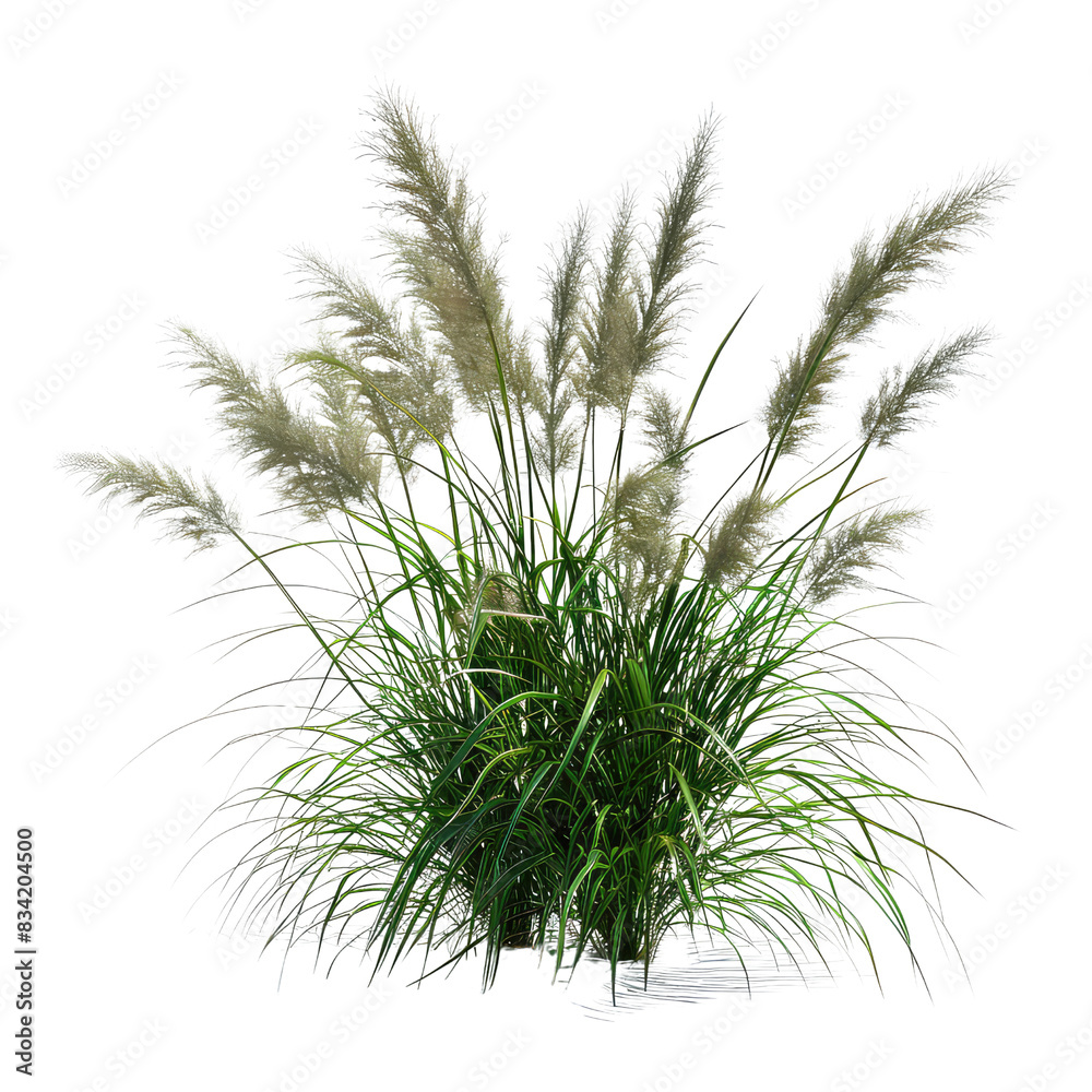Monstera Plant Without Background, Generative AI Monstera Plant Without Background, Generative AI