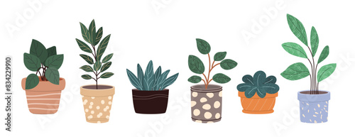 Plants in Flowerpots. Home Decor. A Collection of Various Houseplants. Hand-Drawn Vector Illustrations on White Background. Isolated and Ready for Use.