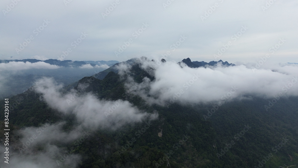 fog in the mountains