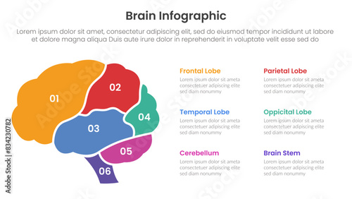 human brain infographic template banner with brain parts with numerical description with 6 point list information for slide presentation