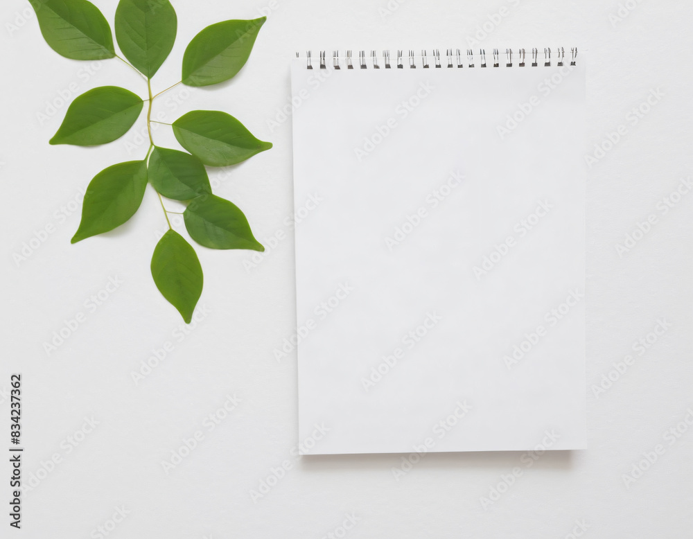 close view of a white background with space for text and green leaves around a white sheet of notes. close view of a white background with space for text and green leaves around a white sheet of notes.