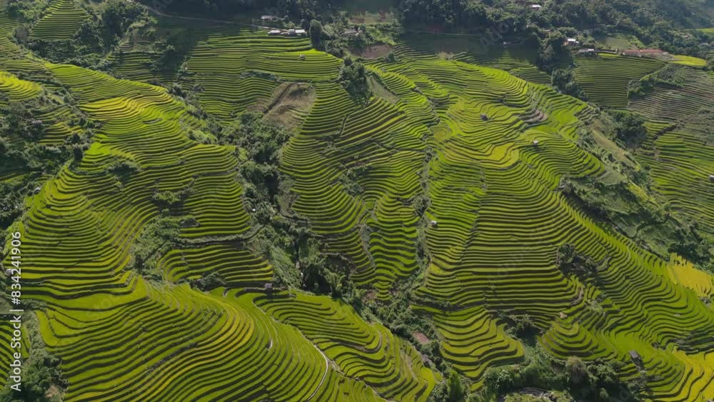 Aerial top view of fresh paddy rice terraces, green agricultural fields in countryside or rural area of Mu Cang Chai, mountain hills valley in Asia, Vietnam. Nature landscape background. Aerial top view of fresh paddy rice terraces, green agricultural fields in countryside or rural area of Mu Cang Chai, mountain hills valley in Asia, Vietnam. Nature landscape background.
