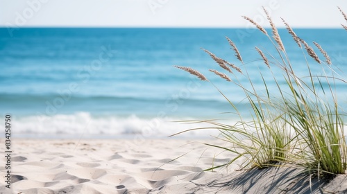Serene beach scene with sand dunes  grasses  and calm ocean waves