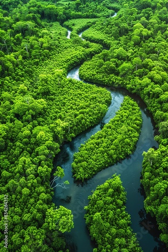 Aerial view of a winding river through lush green forest Serene, natural beauty