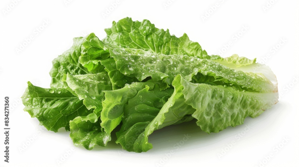 fresh Romaine Lettuce isolated on white , photo-realistic, commercial imagery, stock photo, isolated on white , no shadows, macrophotogaphy fresh Romaine Lettuce isolated on white , photo-realistic, commercial imagery, stock photo, isolated on white , no shadows, macrophotogaphy