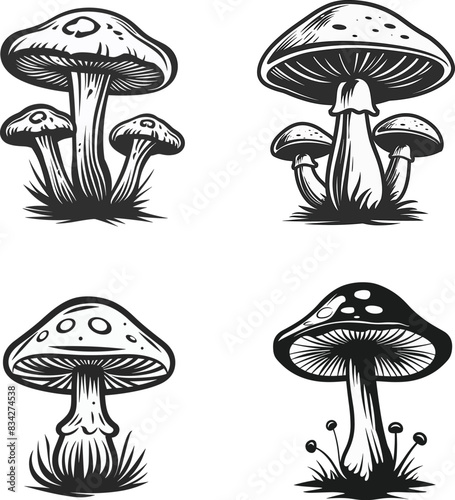Mushroom silhouette vector illustration on white background