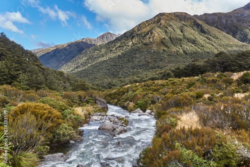 Arthur's Pass in New Zealand, river and shrubs landscape photo