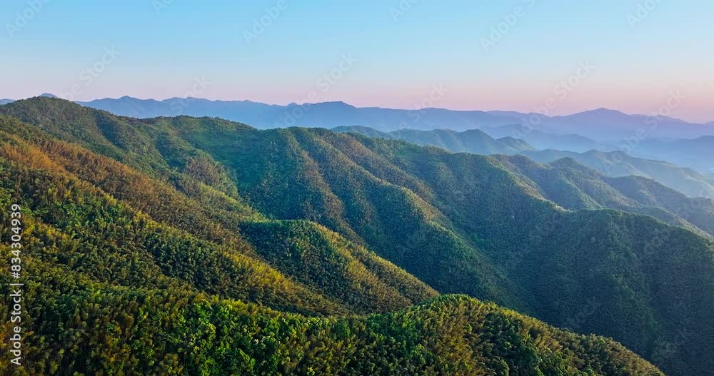Aerial view of green forest and mountain nature landscape at sunset. Beautiful mountain range background.