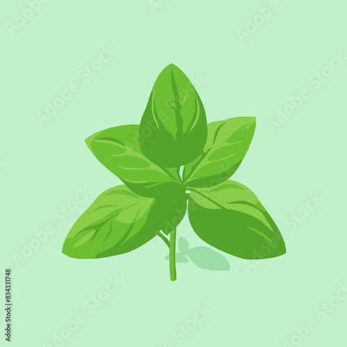 Basil Vector Illustration   Herb, Green, Plant, Cooking, Icon