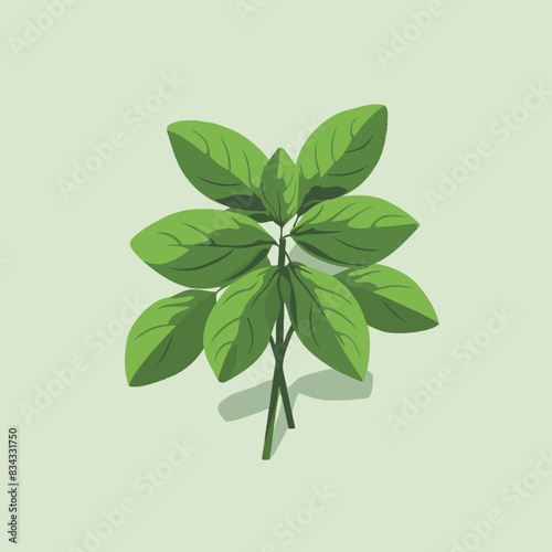 Basil Vector Illustration   Herb, Green, Plant, Cooking, Icon