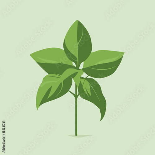 Basil Vector Illustration   Herb, Green, Plant, Cooking, Icon