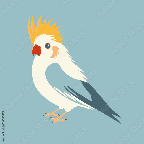 Cockatiel Flat Vector Art   Bird, Parrot, Pet, Animal, Icon