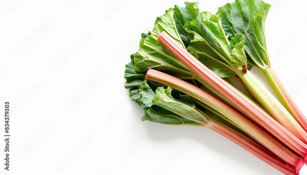 Rhubarb Fresh Stalks Isolated White Background Healthy Rhubarb Fresh Stalks Isolated White Background Healthy