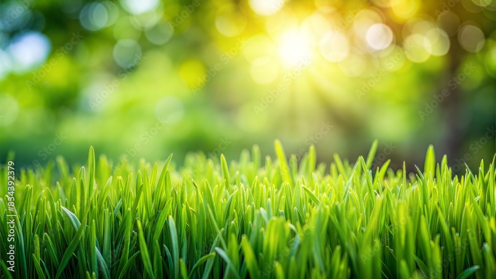 close up of green grass with blurred garden background close up of green grass with blurred garden background