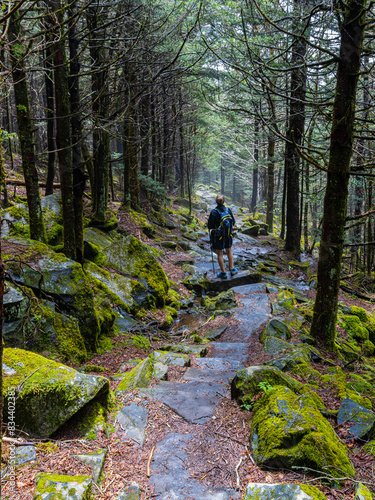 Female Hiker on The Forney Ridge Trail Leading to Andrews Bald, Great Smoky Mountains National Park, Tennessee, USA