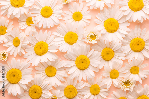 chamomile and daisy flowers in a beautiful summery or springy style