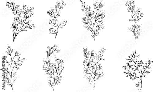 set Floral branch and minimalist flowers for logo or tattoo. Hand drawn line wedding herb