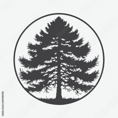 Print Majestic Larch Tree Silhouette, A Serene Nature's Masterpiece