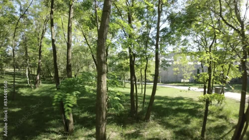 Take a leisurely stroll through the park and enjoy the beautiful scenery. The lush trees provide ample shade, and the gentle breeze rustles the leaves. The park is well-maintained, with paved paths