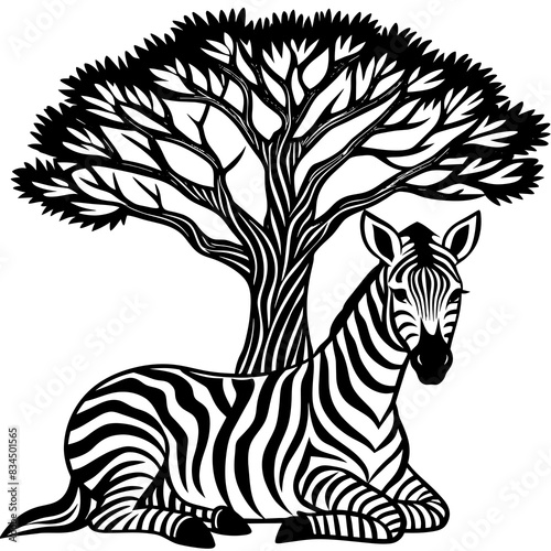 zebra vector design