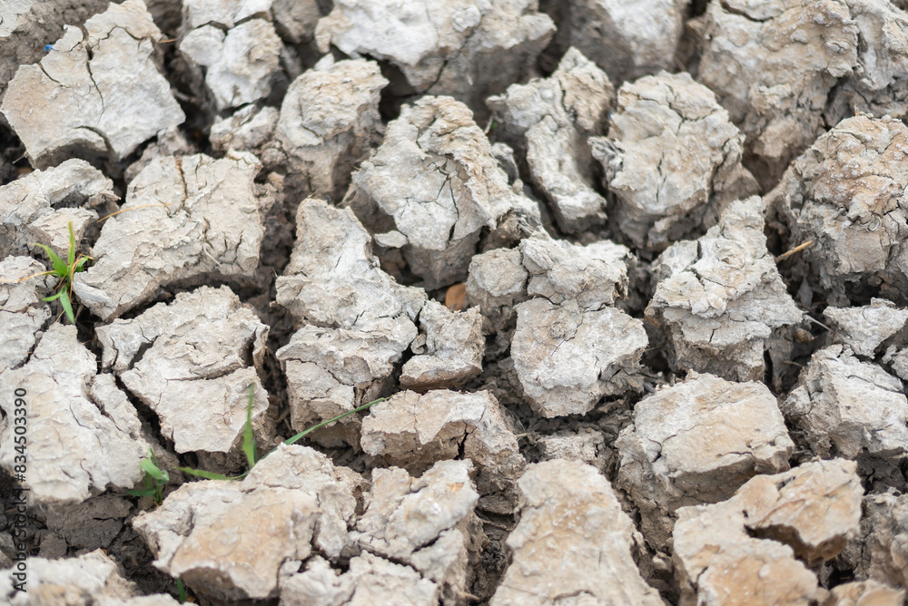 dry and cracked soil after a drought, climate change concept. dry and cracked soil after a drought, climate change concept.