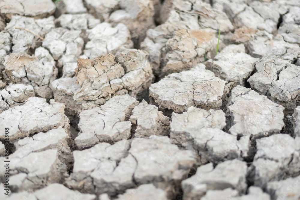 dry and cracked soil after a drought, climate change concept. dry and cracked soil after a drought, climate change concept.