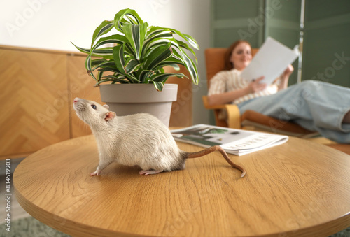 Cute rat with plant on tabl...