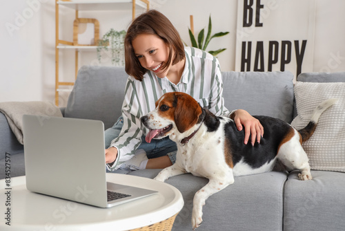 Young woman with cute Beagle dog and laptop at home © Pixel-Shot