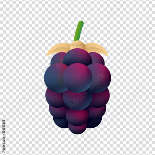 Boysenberry icon vector design in eps 10