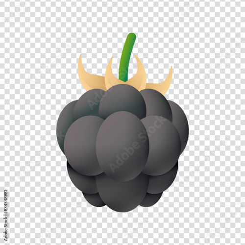 Dewberry icon vector design in eps 10
