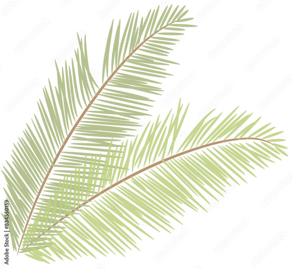 Obraz premium tropical date leaves