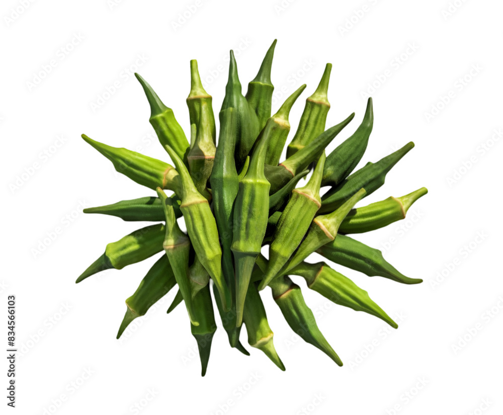 Fresh green okra vegetable isolated on transparent background Ai generative.