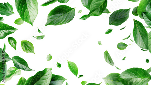 fluttering green leaves