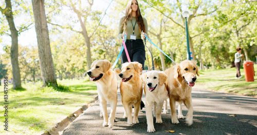 Woman, walking and dogs in park for exercise or pet care, outdoor activity in United Kingdom. Female trainer, wellness and golden retriever on leash in garden path, service for animals in summer