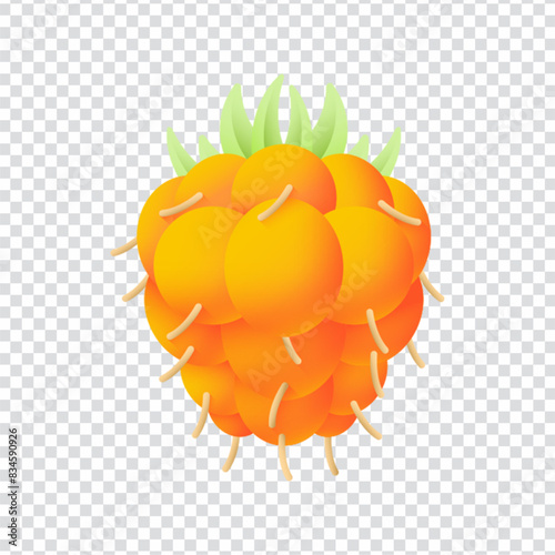 Salmonberry icon vector design in eps 10