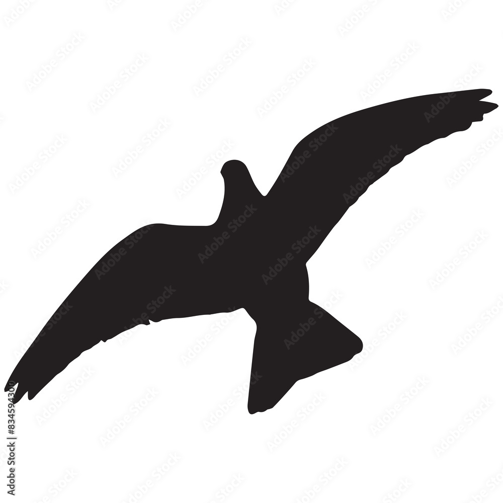 Obraz premium flying pigeon silhouette