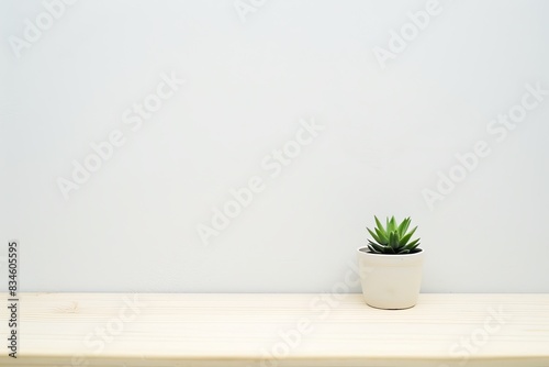 A minimalist background with a white wall and a small potted plant on a sleek wooden table  leaving ample space for text in the center.