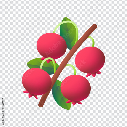 Tazziberry icon vector design in eps 10 photo